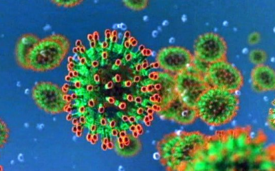 La médecine chinoise dans la lutte contre le coronavirus